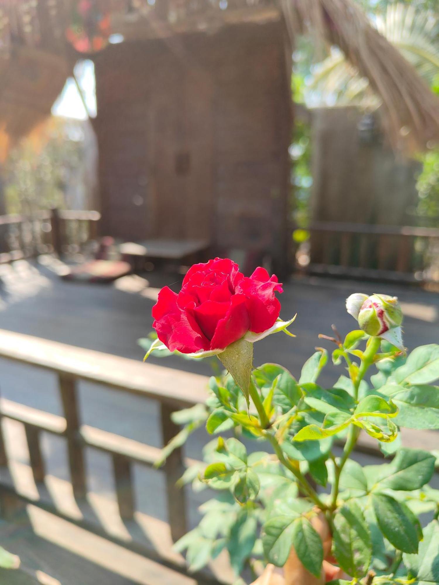 Smilingface Guesthouse Szukhothaj Kültér fotó