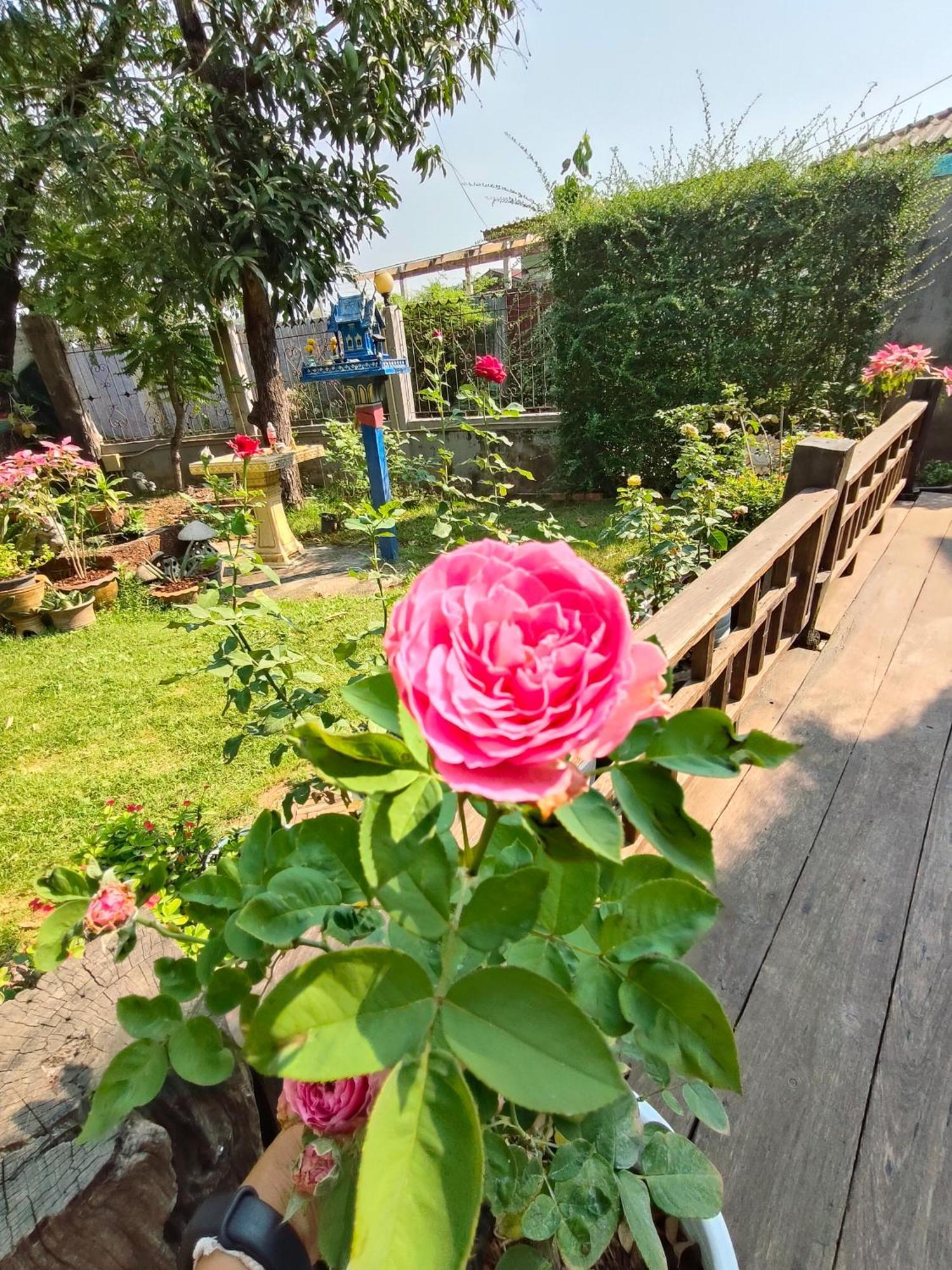 Smilingface Guesthouse Szukhothaj Kültér fotó